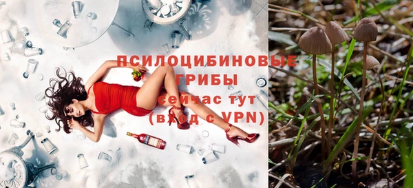 бошки Нея
