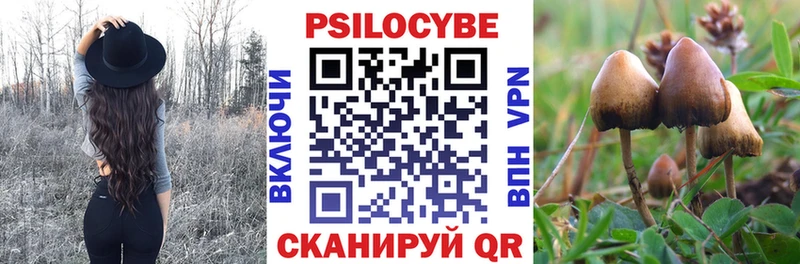 Псилоцибиновые грибы GOLDEN TEACHER Североморск