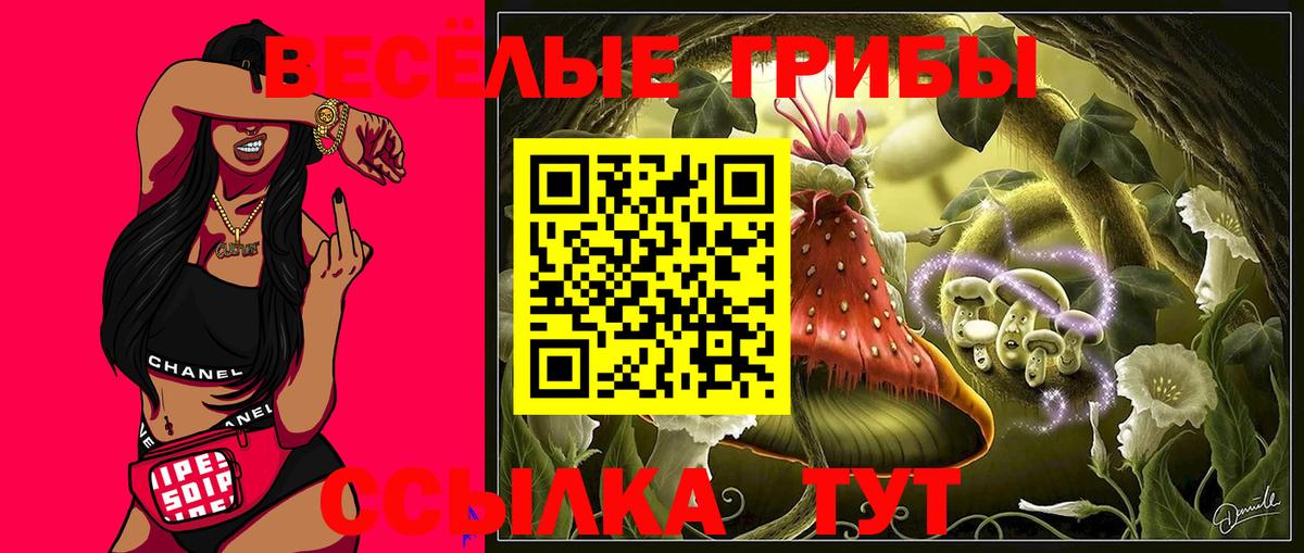 Псилоцибиновые грибы мухоморы  Псилоцибиновые грибы Psilocybe  Североморск 