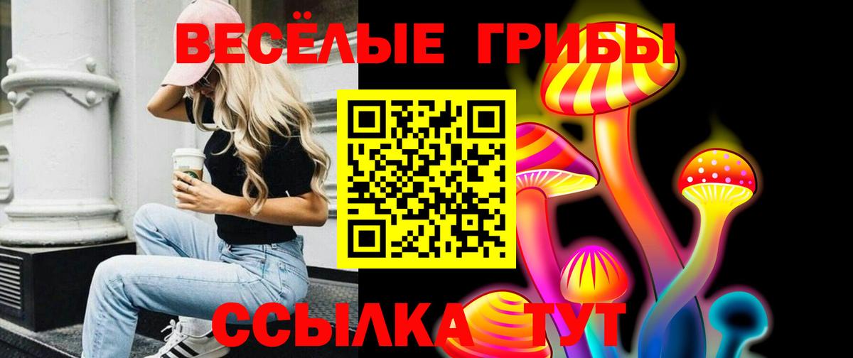 Галлюциногенные грибы Cubensis Североморск