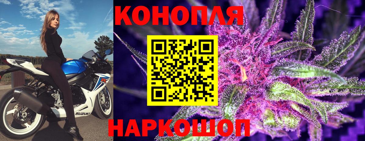 Каннабис конопля Североморск